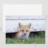 Carte De Remerciements Animaux de bébés cutest | Red Fox Kit Peeking (Devant / Derrière)