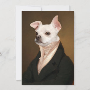Carte De Remerciements Animaux de bébés cutest   Royal Chihuahua Portrait
