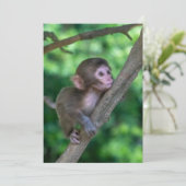 Carte De Remerciements Animaux de bébés cutest | Singe bébé (Debout devant)