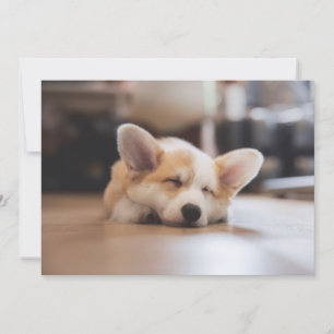 Carte De Remerciements Animaux de bébés cutest Sleepy Corgi