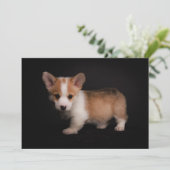 Carte De Remerciements Animaux de bébés cutest | Tiny Corgi (Debout devant)