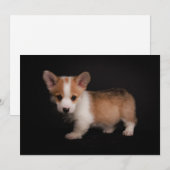 Carte De Remerciements Animaux de bébés cutest | Tiny Corgi (Devant / Derrière)