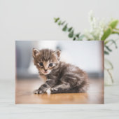 Carte De Remerciements Animaux de bébés cutest | Tiny Tabby Kitten (Debout devant)