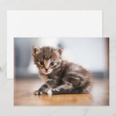 Carte De Remerciements Animaux de bébés cutest | Tiny Tabby Kitten (Devant / Derrière)