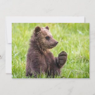 Carte De Remerciements Animaux de bébés cutest   Vague d'ours Brown