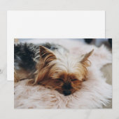 Carte De Remerciements Animaux de bébés cutest | Yorkshire Terrier (Devant / Derrière)