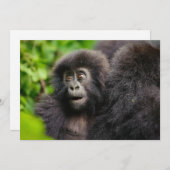 Carte De Remerciements Animaux de bébés cutest | Young Mountain Gorilla (Devant / Derrière)