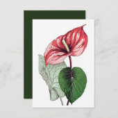 Carte De Remerciements Anthurium Fleur Tropical Blank (Devant / Derrière)
