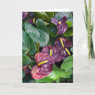 Carte De Remerciements Anthuriums