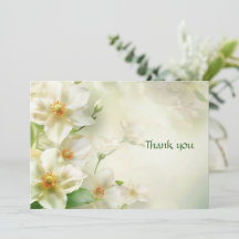 Aquarelle Fleurs blanches