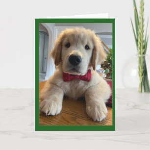 Carte De Remerciements Archie Christmas Bowtie