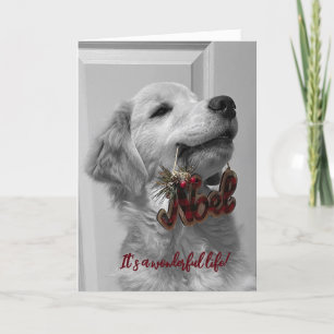 Carte De Remerciements Archie's Adventures Blank Greeting Card 14