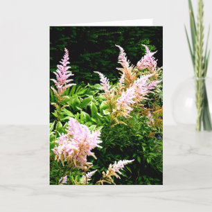 Carte De Remerciements Astilbe