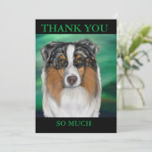 CARTE DE REMERCIEMENTS AUSTRALIAN SHEPHERD (Debout devant)
