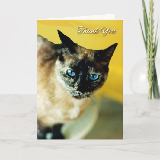 Carte de remerciements avec chat siamois de couleu (Devant)