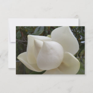 Carte de remerciements avec Fleur Magnolia blanche