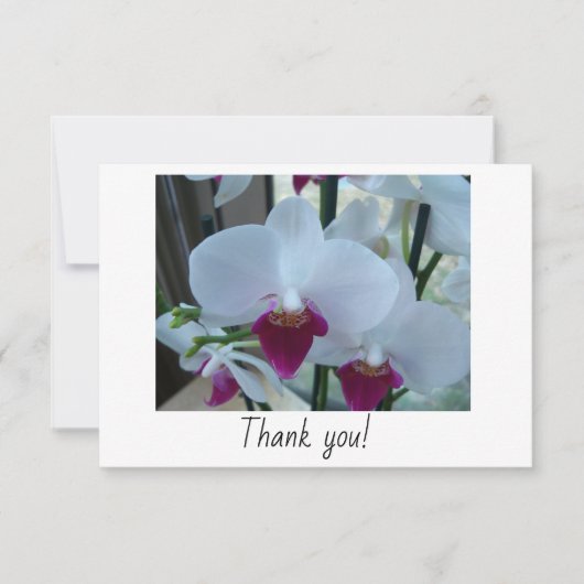 Carte de remerciements avec orchidées blanches et (Devant)