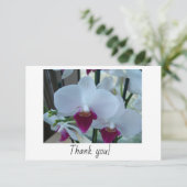 Carte de remerciements avec orchidées blanches et (Debout devant)