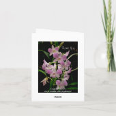 Carte de remerciements avec orchidées roses (Dos)