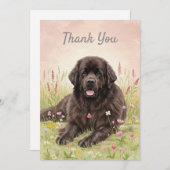 Carte de remerciements avec un chien de Terre-Neuv (Devant / Derrière)