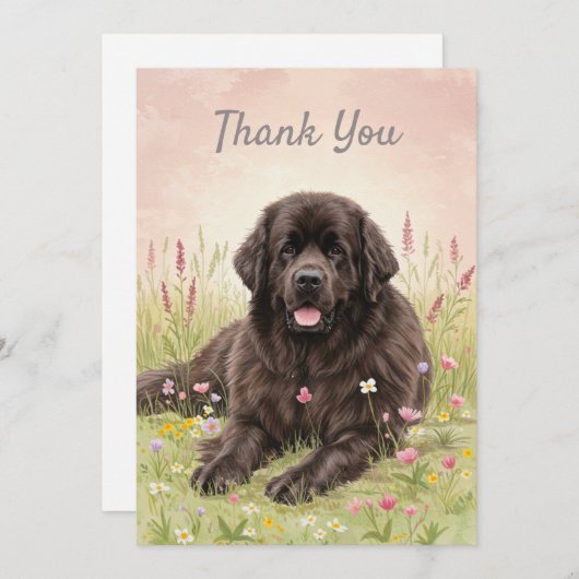 Carte de remerciements avec un chien de Terre-Neuv (Devant / Derrière)