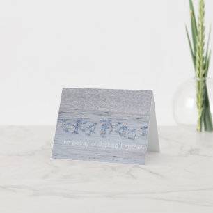 Carte De Remerciements Avocet Beauty