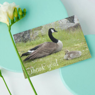 Carte De Remerciements Baby shower photo Baby Goose