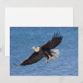 Carte De Remerciements Bald eagle in flight (Devant / Derrière)