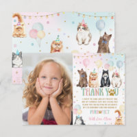 Ballons de chats pawty adorables