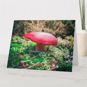 Carte De Remerciements Beau champignon sauvage dans un champ d'automne