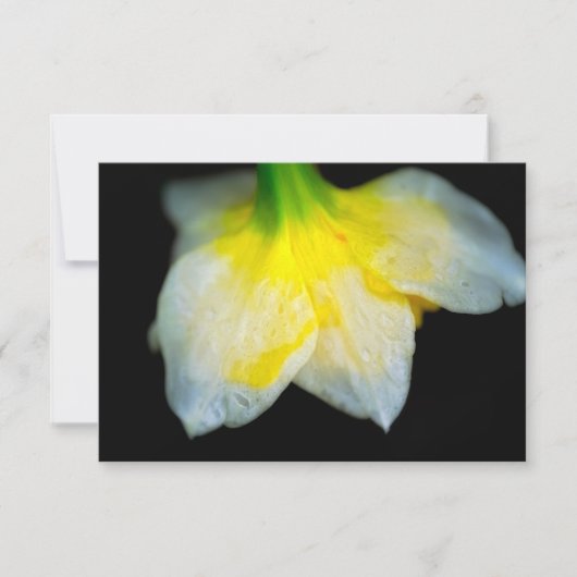 Carte De Remerciements Beauté en dessous (Devant)