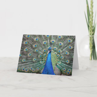 Carte De Remerciements BeautifulPeacock