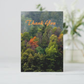 Carte De Remerciements Beaux arbres de la forêt (Debout devant)