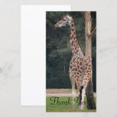 Carte De Remerciements Belle girafe (Devant / Derrière)