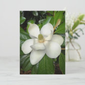 Carte De Remerciements Belle Magnolia du Sud (Debout devant)