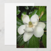 Carte De Remerciements Belle Magnolia du Sud (Devant / Derrière)