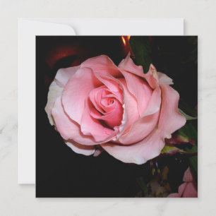 Carte De Remerciements Belle Rose Rose