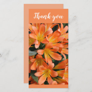 Carte De Remerciements Belles fleurs de lys de Kaffir orange