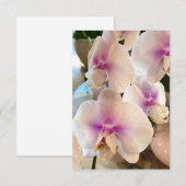 Carte De Remerciements Belles Orchidées (Devant / Derrière)