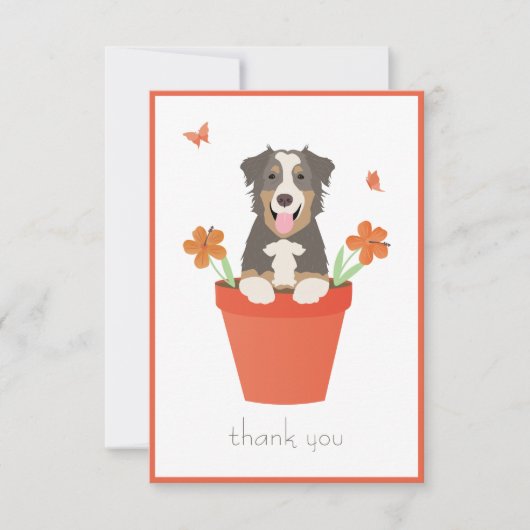 Carte De Remerciements Berger Australien Dans Un Pot De Fleurs (Devant)