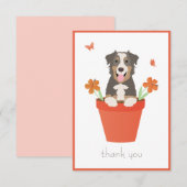 Carte De Remerciements Berger Australien Dans Un Pot De Fleurs (Devant / Derrière)
