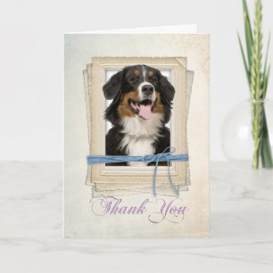 Carte De Remerciements Bernese Mountain Dog Thank You Card