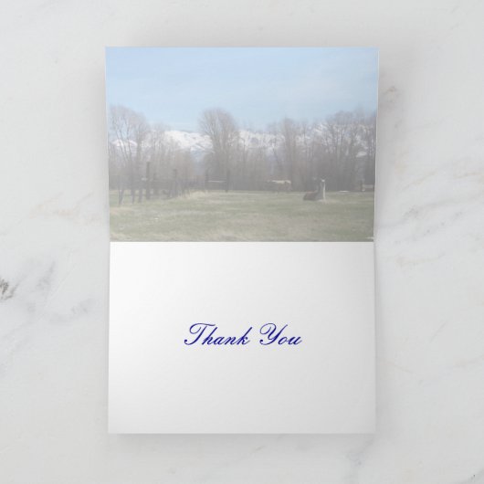 Carte De Remerciements Bétail et monts Ruby (Intérieur)