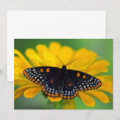 Carte De Remerciements Beurre-tache Baltimore À damiers (Devant / Derrière)