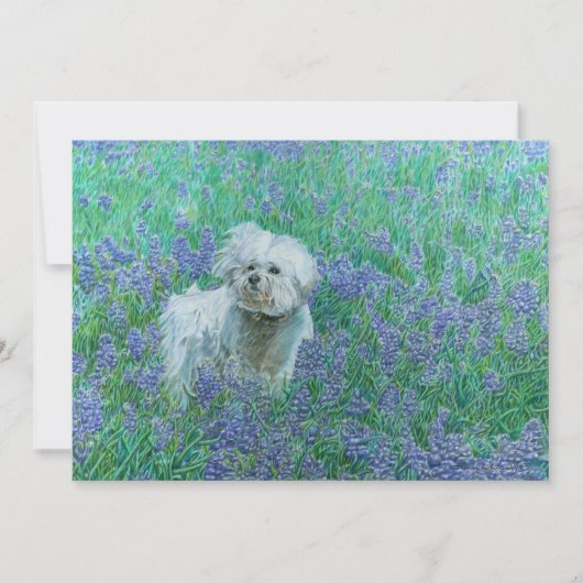 Carte De Remerciements Bichon Frise dans les Bluebonnets (Devant)