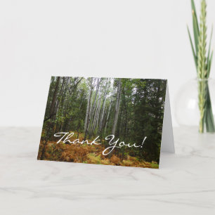 Carte De Remerciements Birch Trees blancs et fougères d'automne à Rocky M