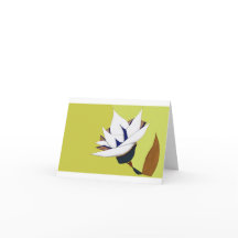 BLANC, BLEU, LOTUS D'OR