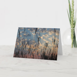 Carte De Remerciements Blank Card