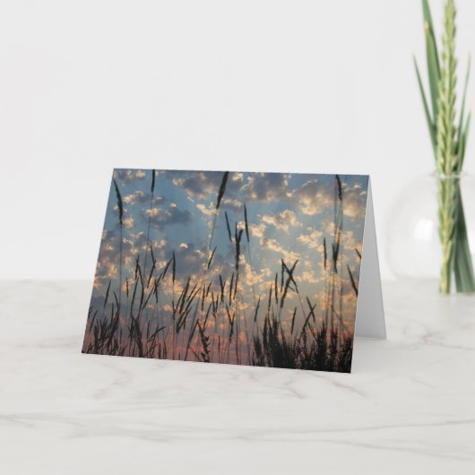 Carte De Remerciements Blank Card (Devant)