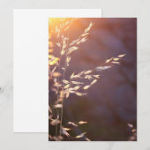 Carte De Remerciements blé le matin (Devant / Derrière)